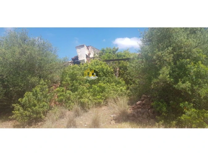 Terreno para Venda em Santa Catarina da Fonte do Bispo