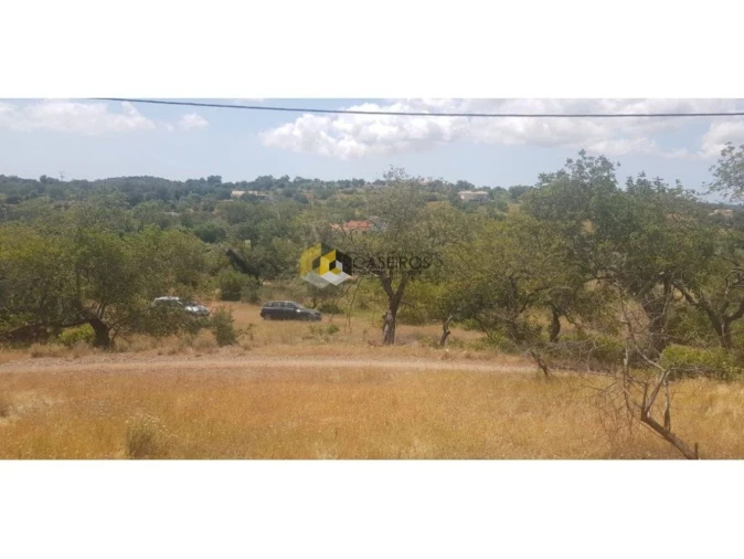 Terreno para Venda em Santa Catarina da Fonte do Bispo Foto 7