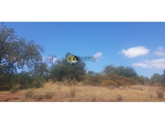 Terreno para Venda em Santa Catarina da Fonte do Bispo Foto 4