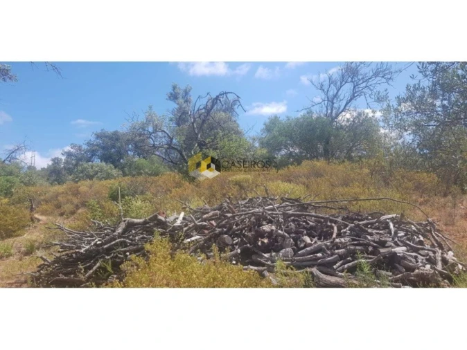 Terreno para Venda em Santa Catarina da Fonte do Bispo Foto 8