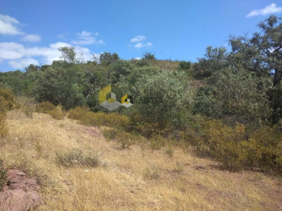 Terreno para Venda em Santa Catarina da Fonte do Bispo Foto 13