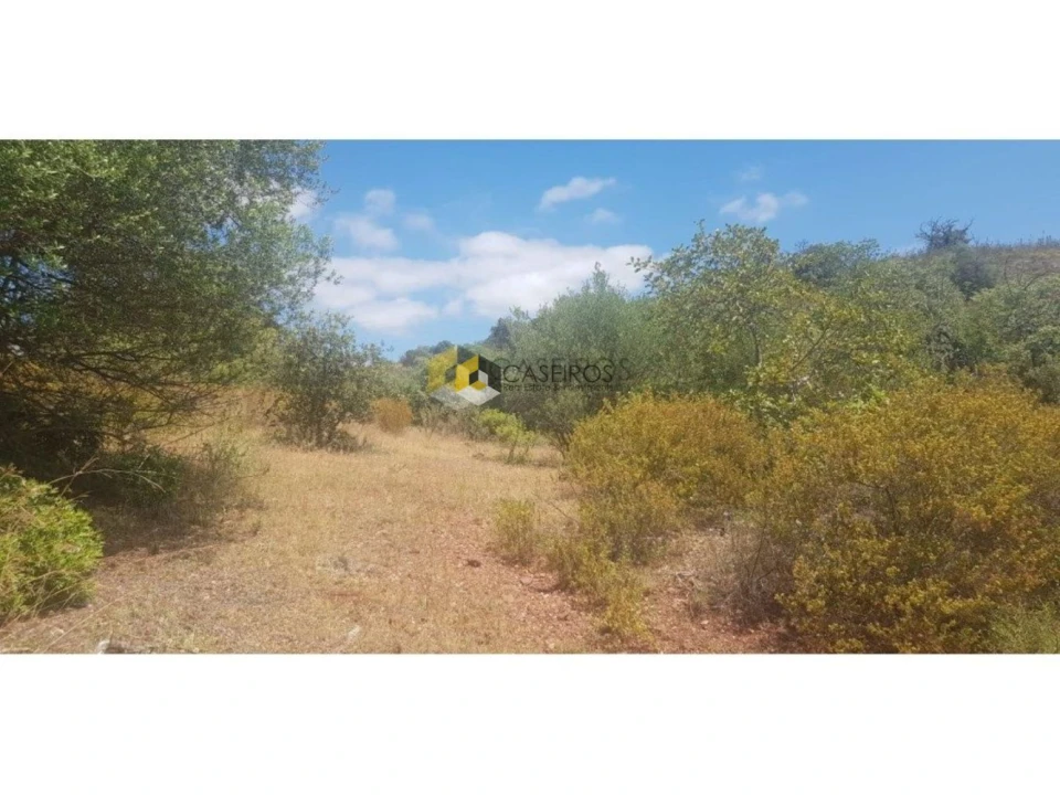 Terreno para Venda em Santa Catarina da Fonte do Bispo Foto 6