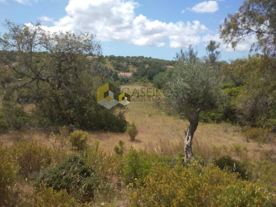 Terreno para Venda em Santa Catarina da Fonte do Bispo Foto 9
