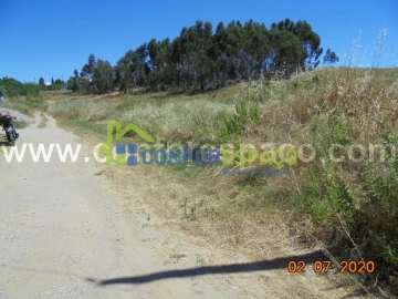 Terreno para Venda em Castelo Branco