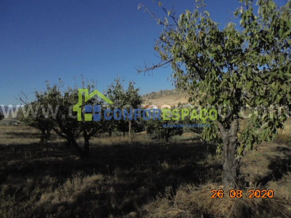 Terreno para Venda em Orvalho Foto 8
