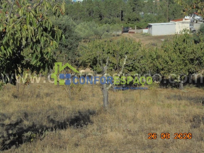 Terreno para Venda em Orvalho Foto 13