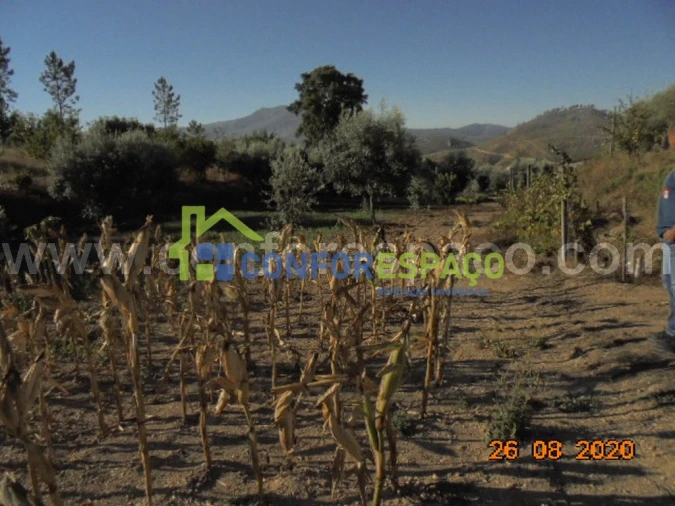 Terreno para Venda em Orvalho Foto 4