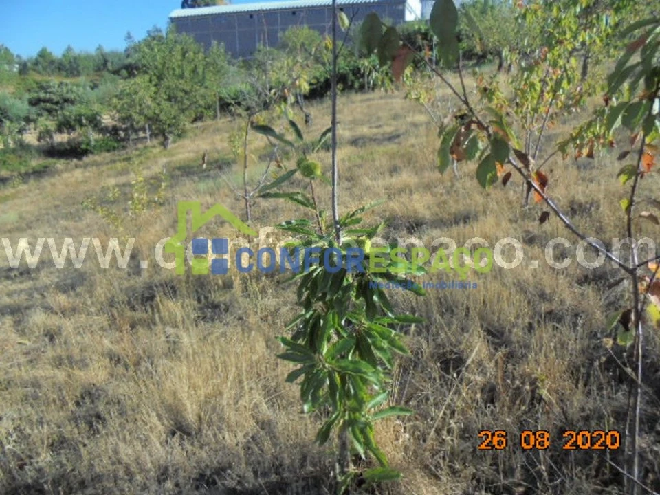 Terreno para Venda em Orvalho Foto 14