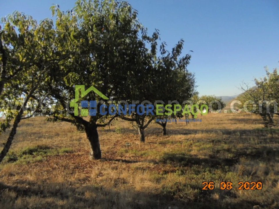 Terreno para Venda em Orvalho Foto 7