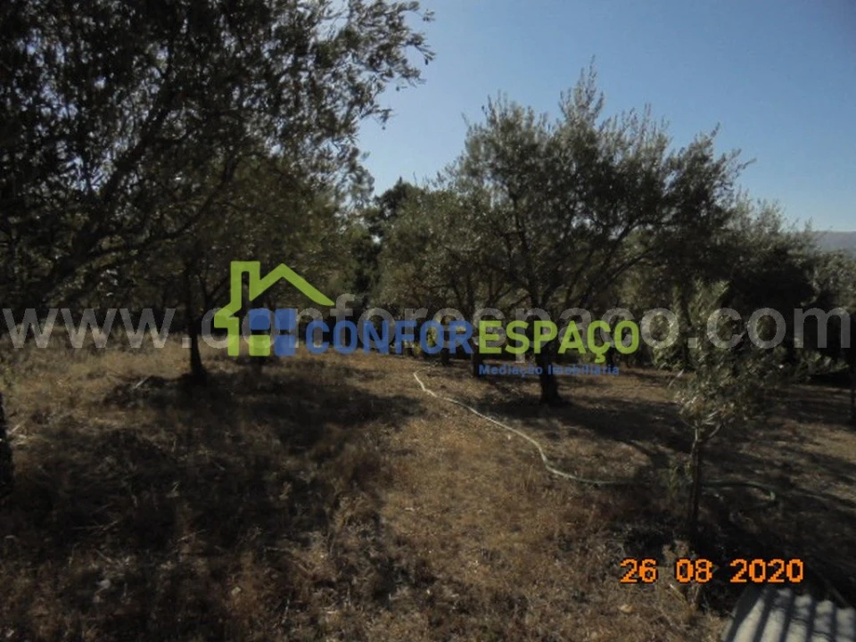 Terreno para Venda em Orvalho Foto 18