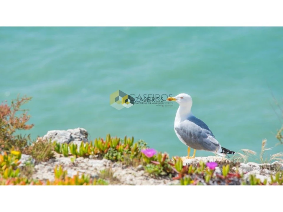 Terreno para Venda em Quelfes Foto 16