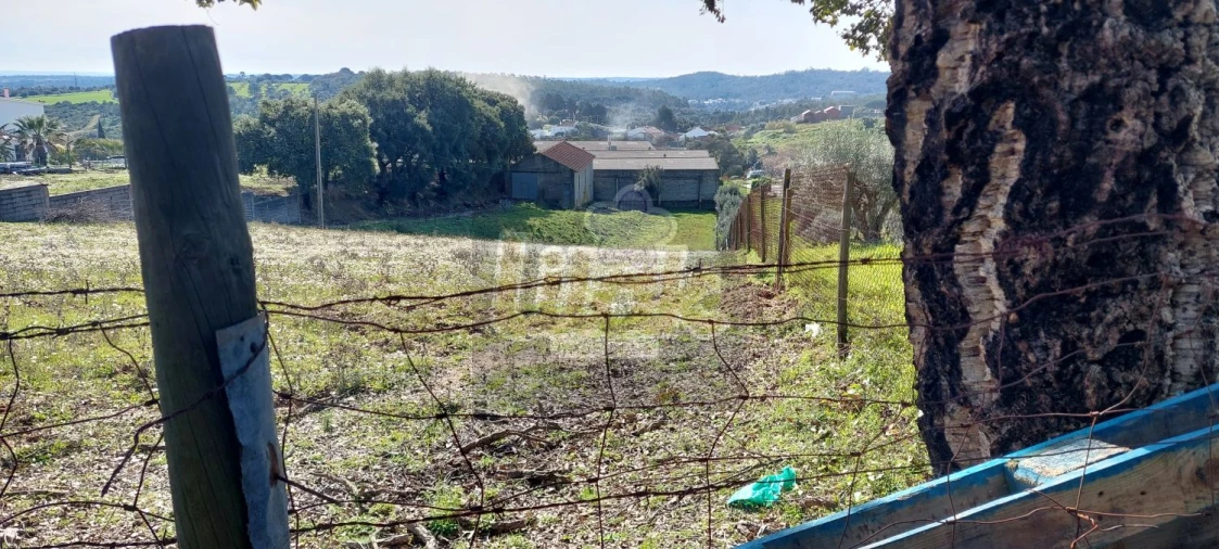 Terreno para Venda em Monsanto