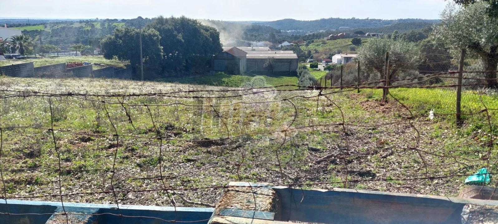 Terreno para Venda em Monsanto Foto 3