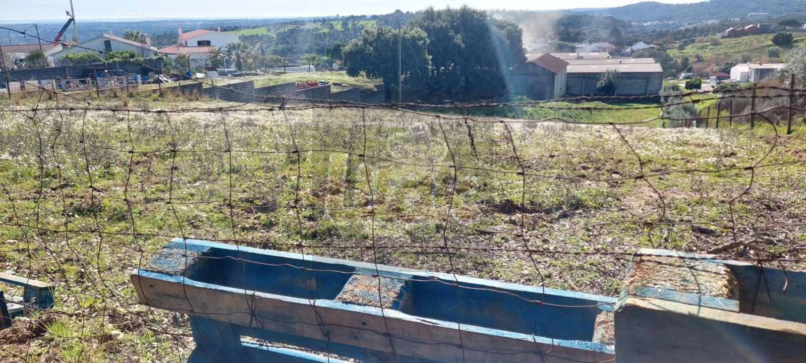 Terreno para Venda em Monsanto Foto 2