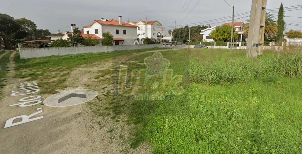 Terreno para Venda em Marvila, Ribeira Santarém, São Salvador, São Nicolau Foto 3
