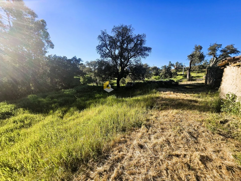 Moradia T8 para Venda em São Brás de Alportel Foto 4
