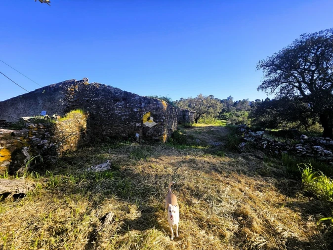 Moradia T8 para Venda em São Brás de Alportel Foto 12
