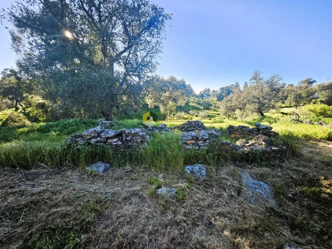 Moradia T8 para Venda em São Brás de Alportel Foto 14