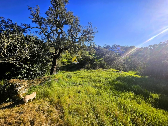 Moradia T8 para Venda em São Brás de Alportel