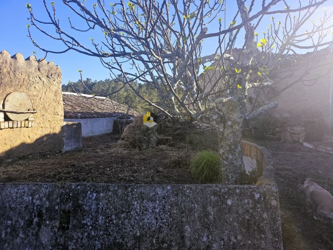 Moradia T8 para Venda em São Brás de Alportel Foto 15