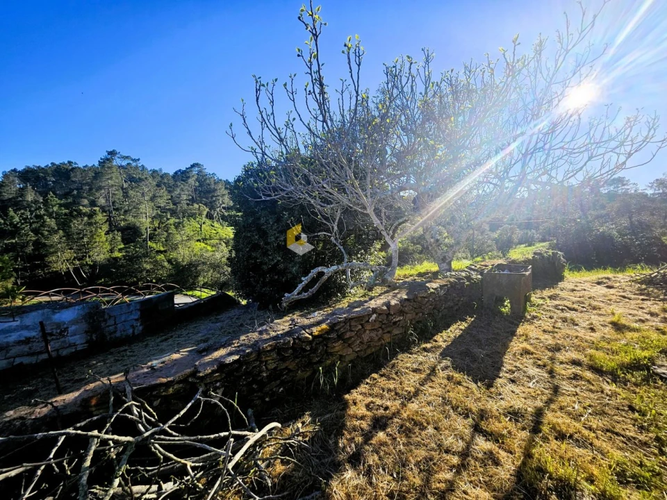 Moradia T8 para Venda em São Brás de Alportel Foto 11