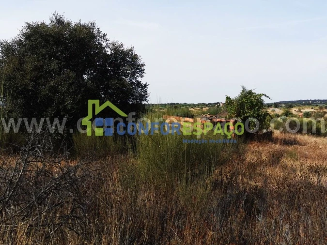 Terreno para Venda em Toulões Foto 13
