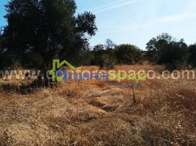 Terreno para Venda em Toulões Foto 6