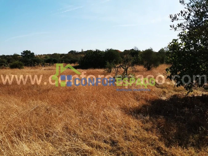 Terreno para Venda em Toulões Foto 5