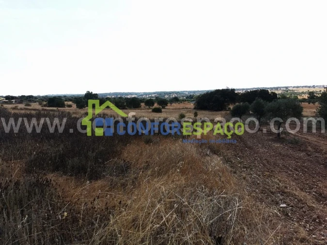 Terreno para Venda em Toulões Foto 10