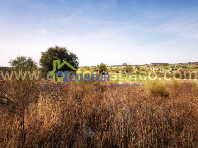 Terreno para Venda em Toulões Foto 12