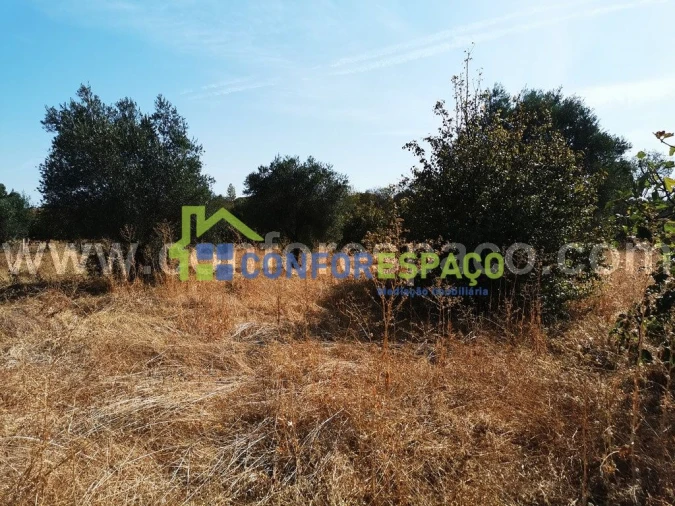 Terreno para Venda em Toulões Foto 8