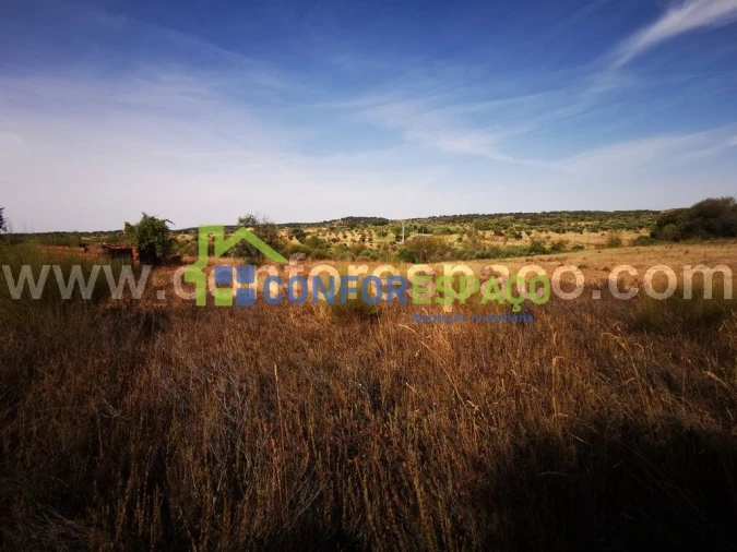 Terreno para Venda em Toulões Foto 14