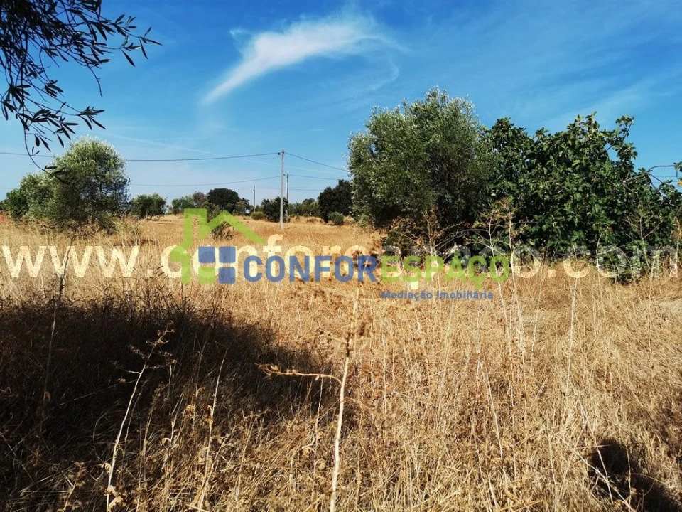 Terreno para Venda em Toulões Foto 7