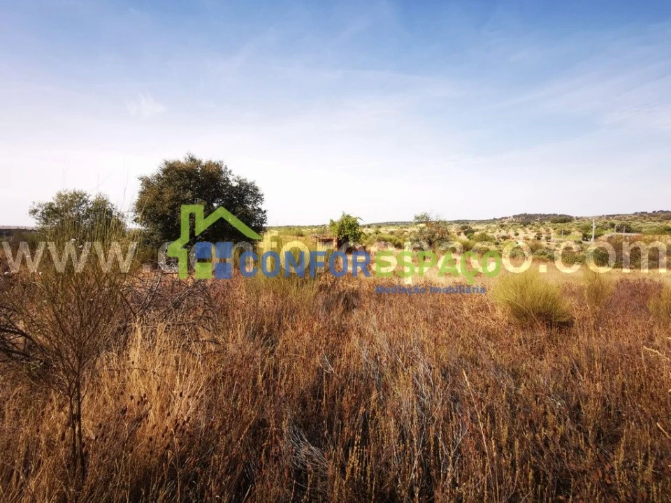 Terreno para Venda em Toulões Foto 12