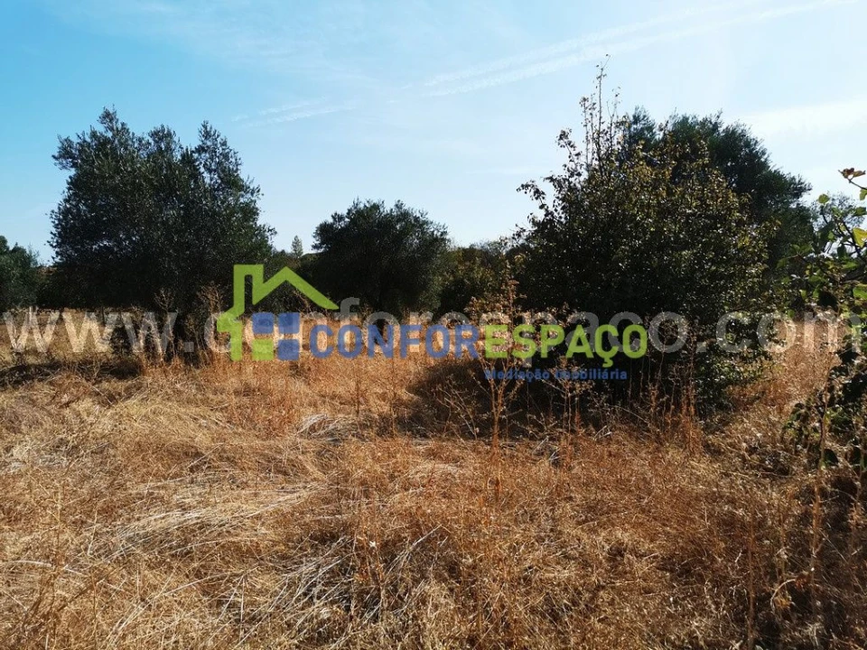 Terreno para Venda em Toulões Foto 8