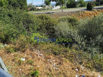 Terreno para Venda em Castelo Branco