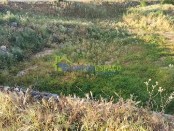 Terreno para Venda em Castelo Branco