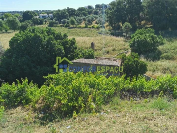 Terreno para Venda em Castelo Branco