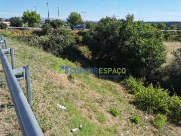 Terreno para Venda em Castelo Branco