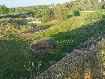 Terreno para Venda em Castelo Branco