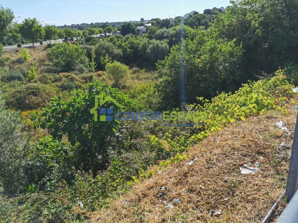 Terreno para Venda em Castelo Branco Foto 6