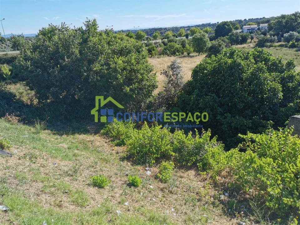 Terreno para Venda em Castelo Branco Foto 2