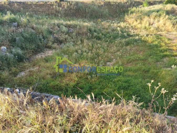 Terreno para Venda em Castelo Branco Foto 11