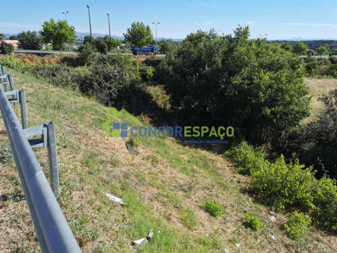 Terreno para Venda em Castelo Branco Foto 4