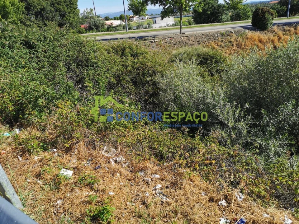 Terreno para Venda em Castelo Branco Foto 7