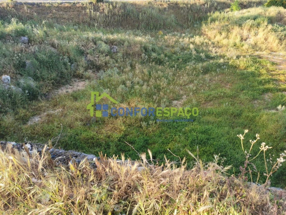 Terreno para Venda em Castelo Branco Foto 11