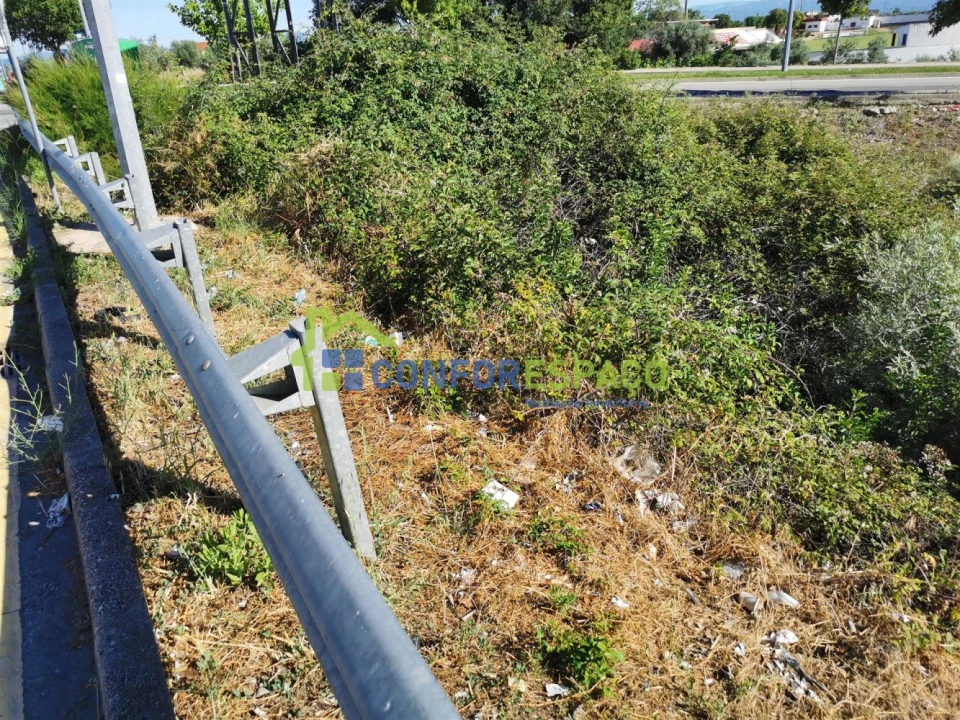 Terreno para Venda em Castelo Branco Foto 8