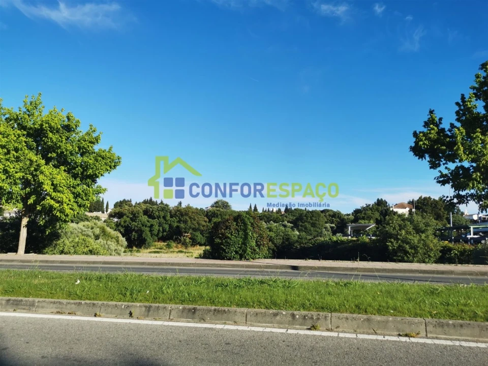 Terreno para Venda em Castelo Branco Foto 1