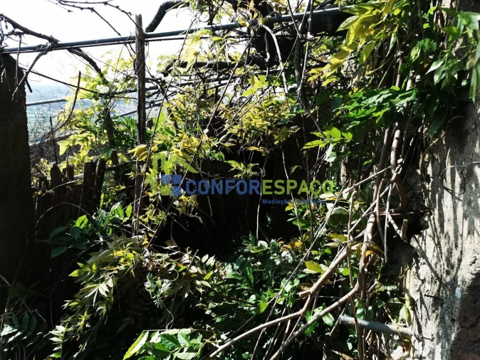 Moradia T3 para Venda em Idanha-A-Nova e Alcafozes Foto 10