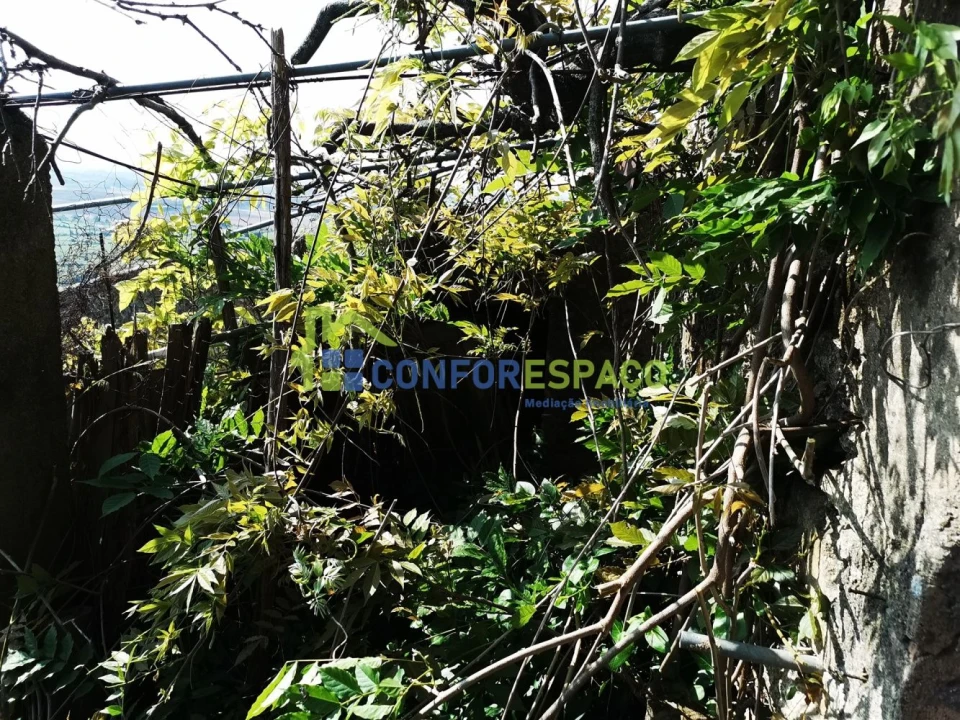 Moradia T3 para Venda em Idanha-A-Nova e Alcafozes Foto 10